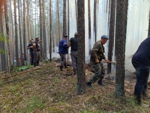 В ликвидации пожара в бору принимал участие «весь»  Уйский район