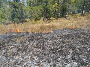 В один день произошли пожары в Бирюковском и Глазуновке